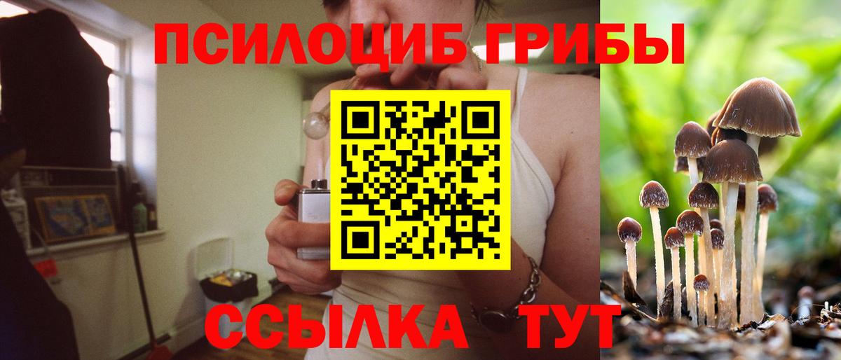 Великий Устюг  Псилоцибиновые грибы Magic Shrooms  купить  цена  Вход с VPN 