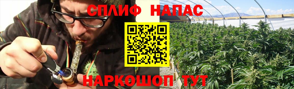 Конопля AK-47  Вход с VPN  Великий Устюг  Шишки марихуана VHQ  Конопля сатива 